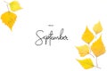 Inscription Hello September. Yellow autumn leaves isolated on white. Royalty Free Stock Photo